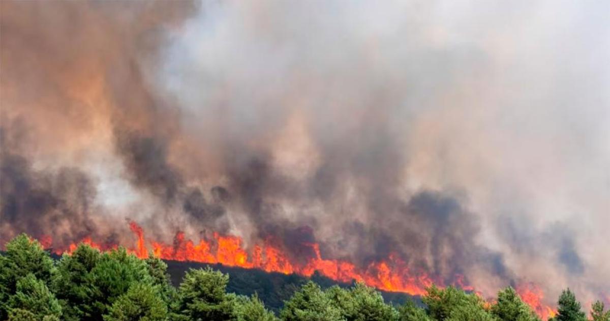 Bomberos y brigadistas combaten un gigantesco incendio forestal en la provincia española de Guadalajara donde las llamas ya arrasaron 32000 hect�reas y obligaron a evacuar a m�s de 1200 personas