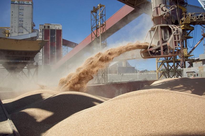 Los productos primarios siguieron siendo el principal motor de las exportaciones pampeanas