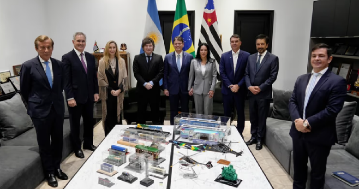 Milei junto a Flavio Bolsonaro