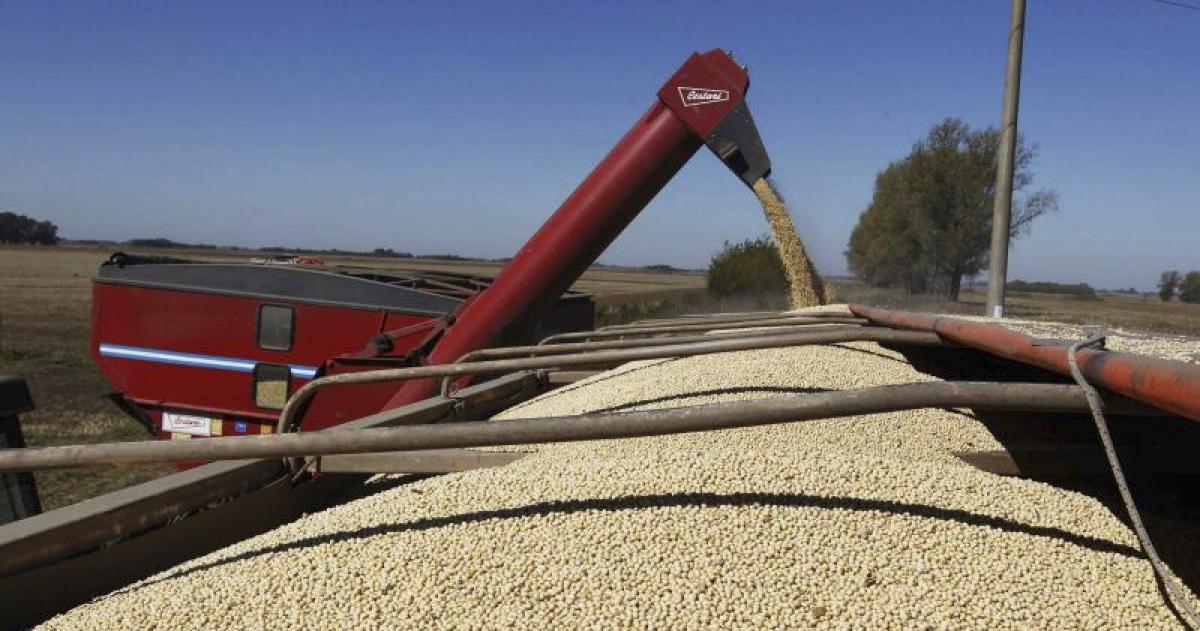 El agro cerró el primer semestre con exportaciones por casi USD 27000 millones y un crecimiento del 173-en-porciento-