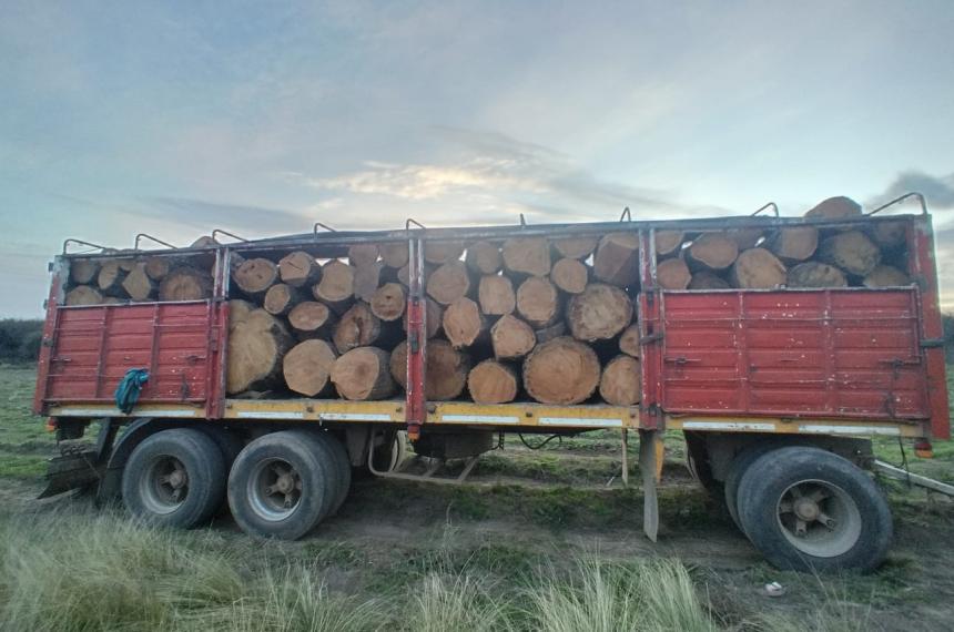 Los sospechosos fueron descubiertos antes de sacar la carga