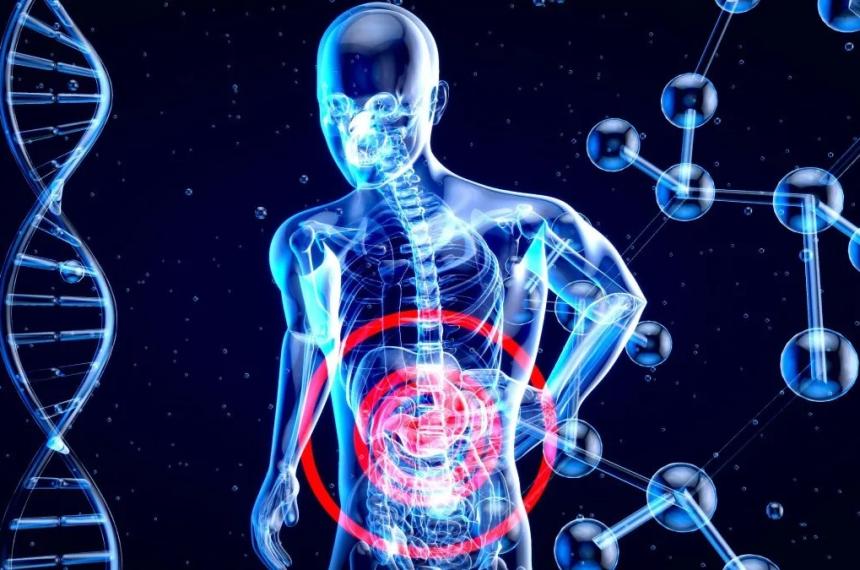 Las hepatitis producen la inflamación del hígado Lo habitual es que estén producidas por un virus