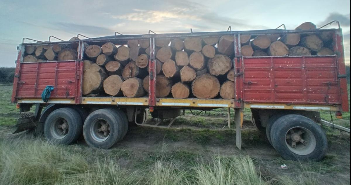 Los sospechosos fueron descubiertos antes de sacar la carga