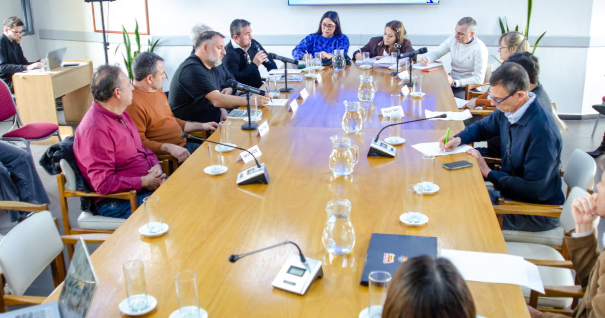 El encuentro de operadores de Medanito en la Legislatura provincial