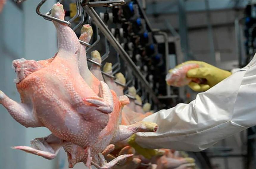 El Reino Unido volvió a habilitar el ingreso de carne aviar argentina tras reconocer al país como libre de Influenza Aviar Altamente Patógena y levantar las restricciones sanitarias vigentes