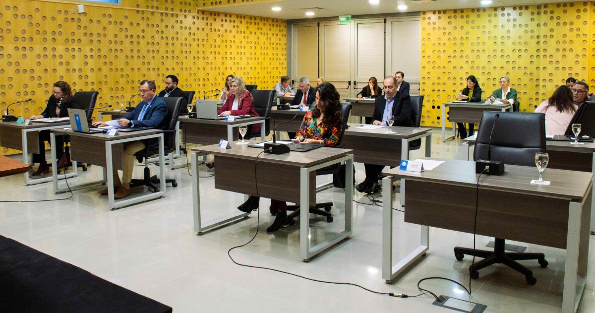 El boleto �nico costar� 1000 pesos cuando sea aprobado por la Secretaría de Transporte de la Nación