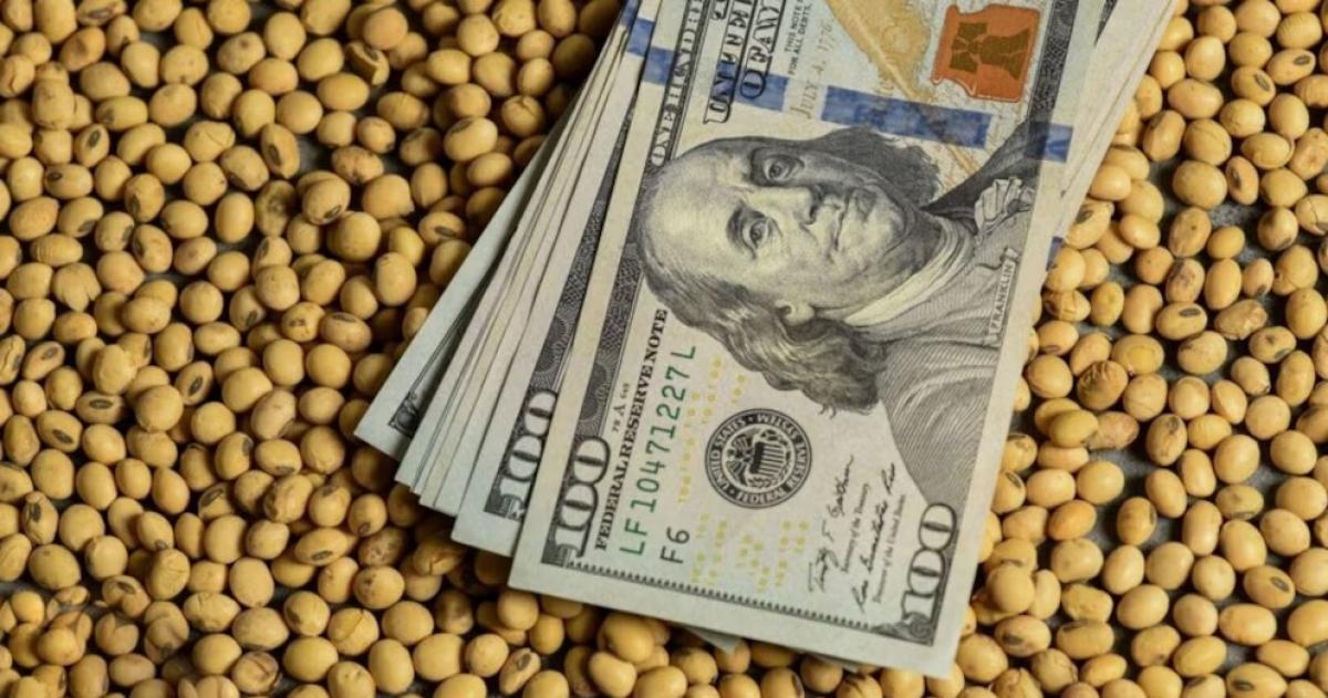 El maíz y el trigo mostraron vol�menes de venta récord mientras la soja evidenció un marcado retraso en la campaña 202526