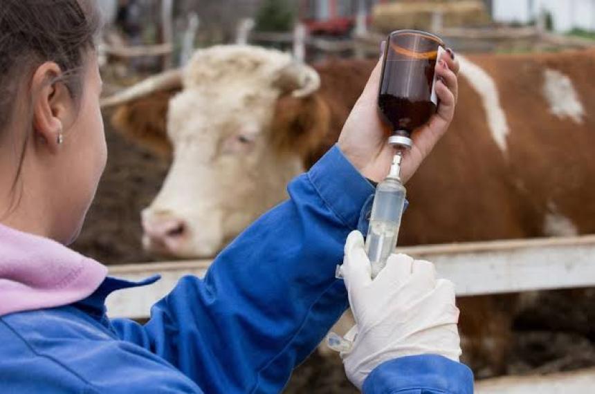 Temen que una mayor flexibilización derive en la reaparición de la enfermedad y afecte las exportaciones