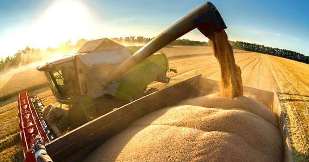 El aguardar clim�tico hoy se revela como un cuello de botella estructural
