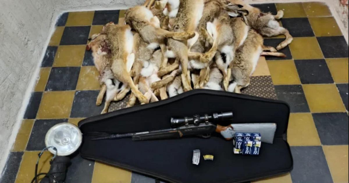 La policía secuestró un arma y 20 liebres muertas