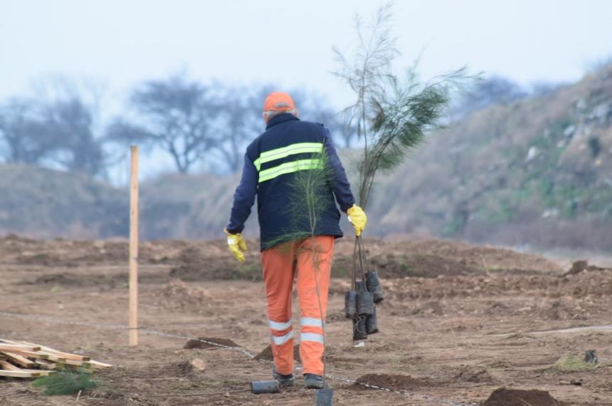 La Municipalidad de Santa Rosa contempla la plantación de 3000 �rboles distribuidos en distintos puntos de la ciudad