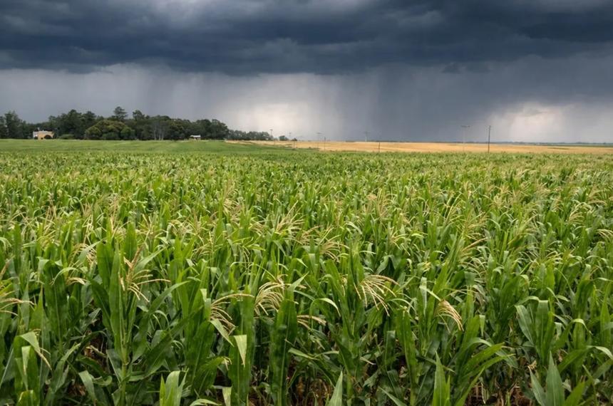 La agricultura naturalmente tiene responsabilidades que asumir