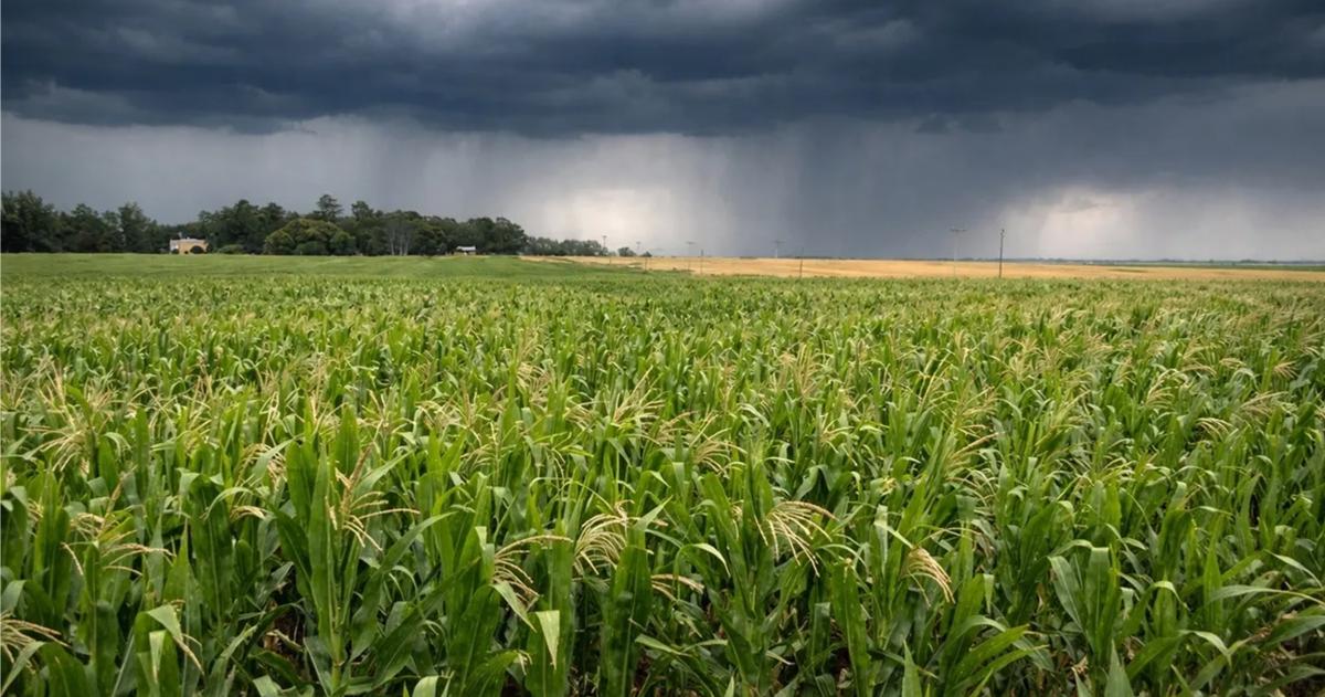 La agricultura naturalmente tiene responsabilidades que asumir