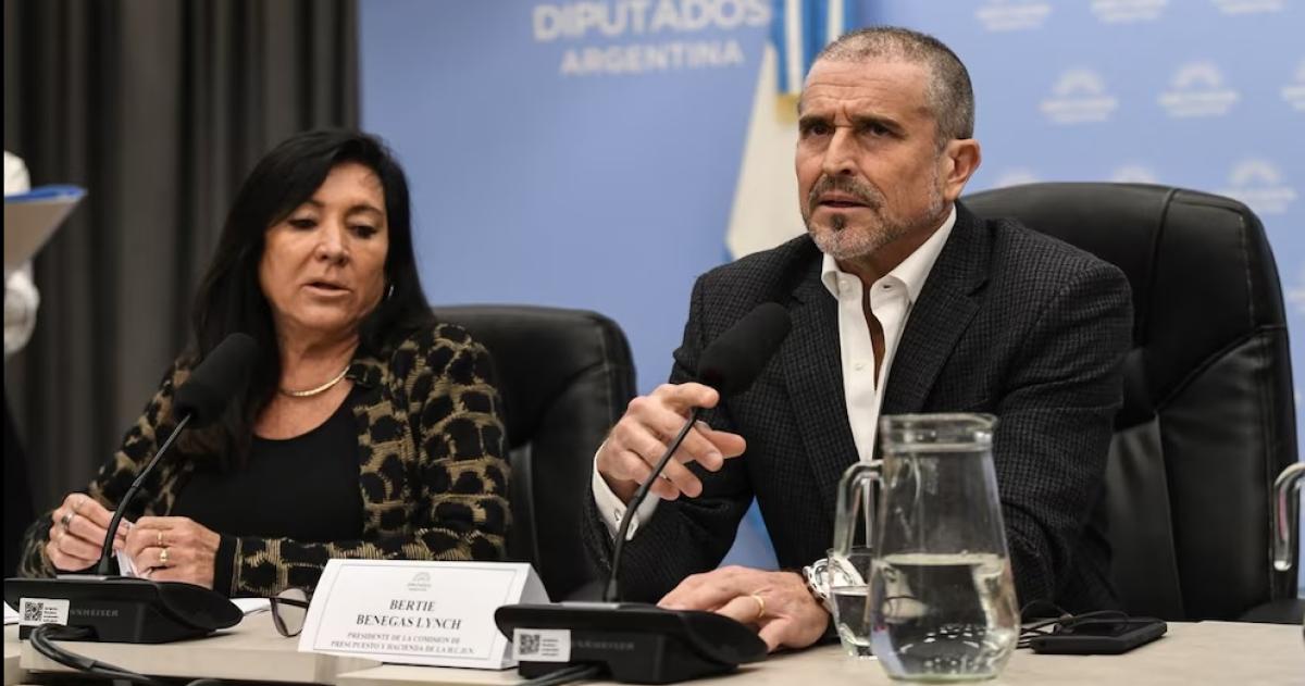 Los presidentes de las comisiones de Presupuesto y Legislación Penal Bertie Benegas Lynch y Laura Rodríguez Machado