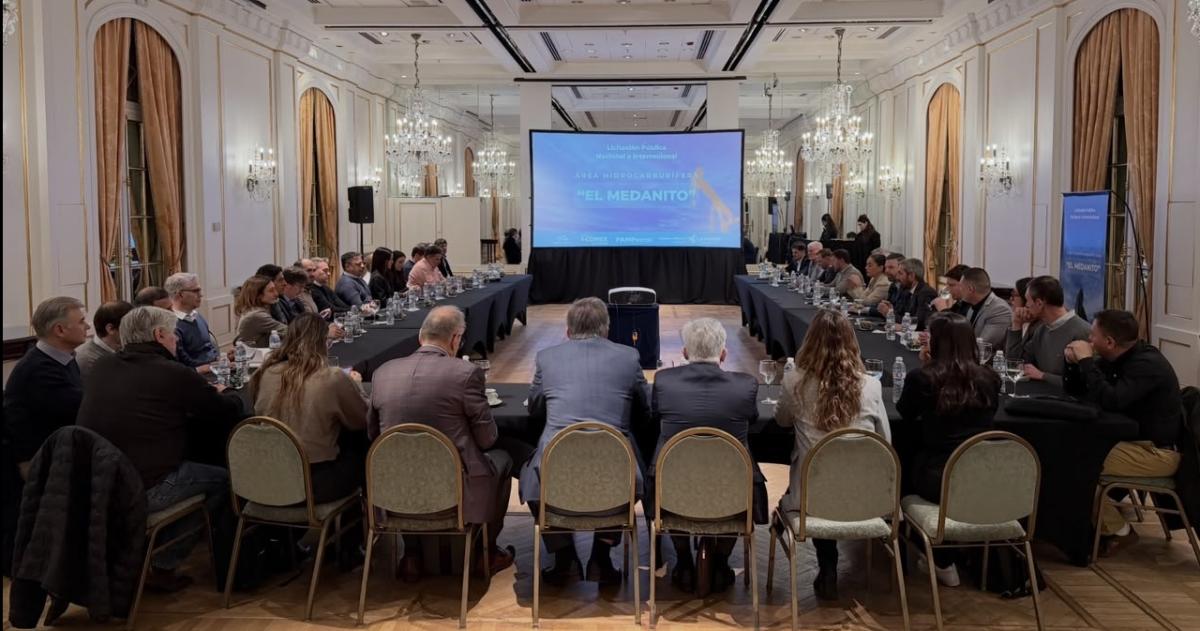 Diecisiete empresas participan del roadshow en Buenos Aires por la explotación de El Medanito