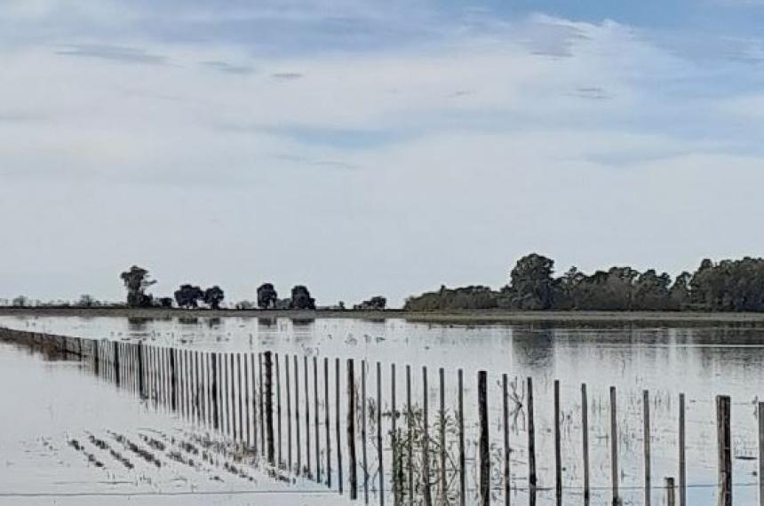 El gobierno de Milei tiene a disposición millones de dólares para realizar obras que por alguna razón decidió paralizar