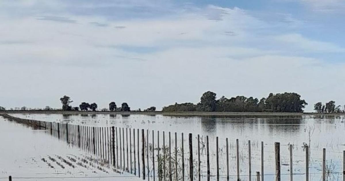 El gobierno de Milei tiene a disposición millones de dólares para realizar obras que por alguna razón decidió paralizar