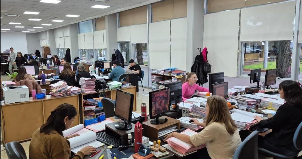 En la actualidad hay 10 pasantes universitarios en el TdC
