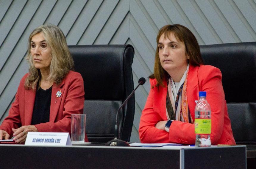 La sesión se desarrolló vía remota y contó con la participación de los integrantes del Parlamento Patagónico