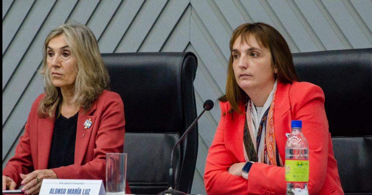 La sesión se desarrolló vía remota y contó con la participación de los integrantes del Parlamento Patagónico