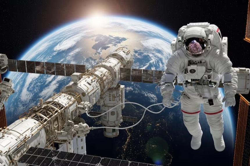 Un estudio internacional analizó muestras de sangre de 52 astronautas para investigar los efectos de la microgravedad sobre el metabolismo intestinal durante misiones prolongadas en el espacio