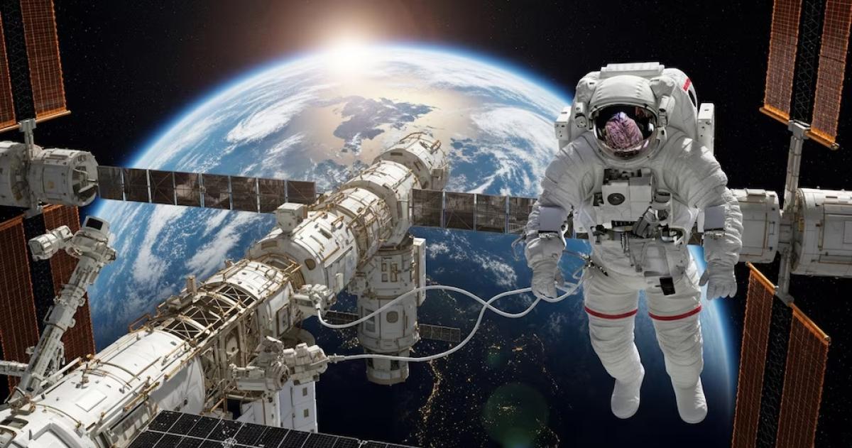 Un estudio internacional analizó muestras de sangre de 52 astronautas para investigar los efectos de la microgravedad sobre el metabolismo intestinal durante misiones prolongadas en el espacio