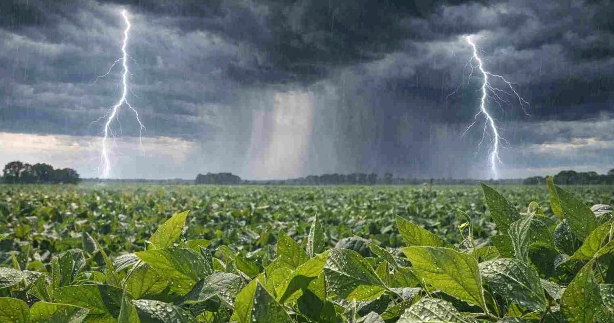 El agro argentino atraviesa una etapa en la que dos realidades empiezan a encontrarse