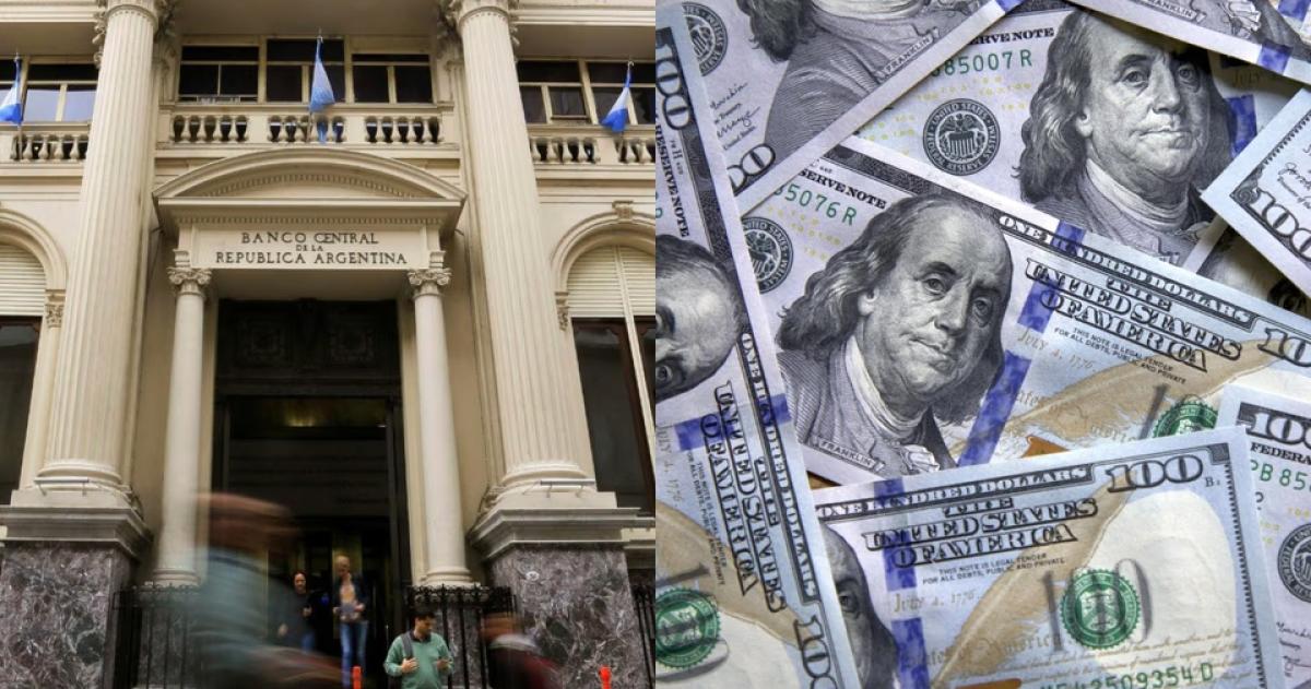 El Banco Central publicó los requisitos para que empresas accedan a los préstamos en dólares