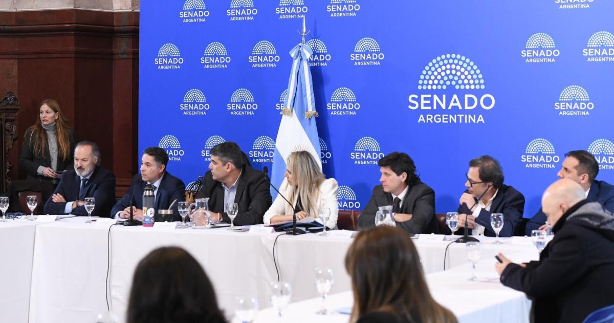 El encuentro en el Senado nacional