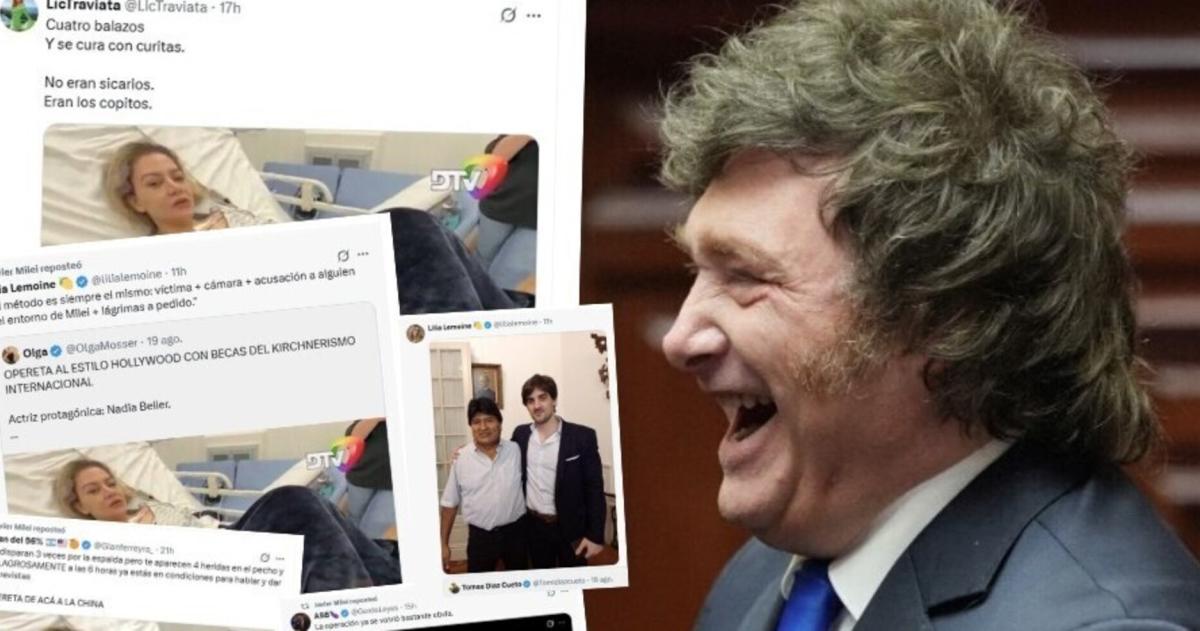 Milei y los tuits contra la expareja de Fernando Cerimedo
