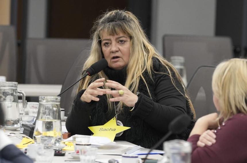 Silvia Gonz�lez partipó por Estrellas Amarillas en la Comisión