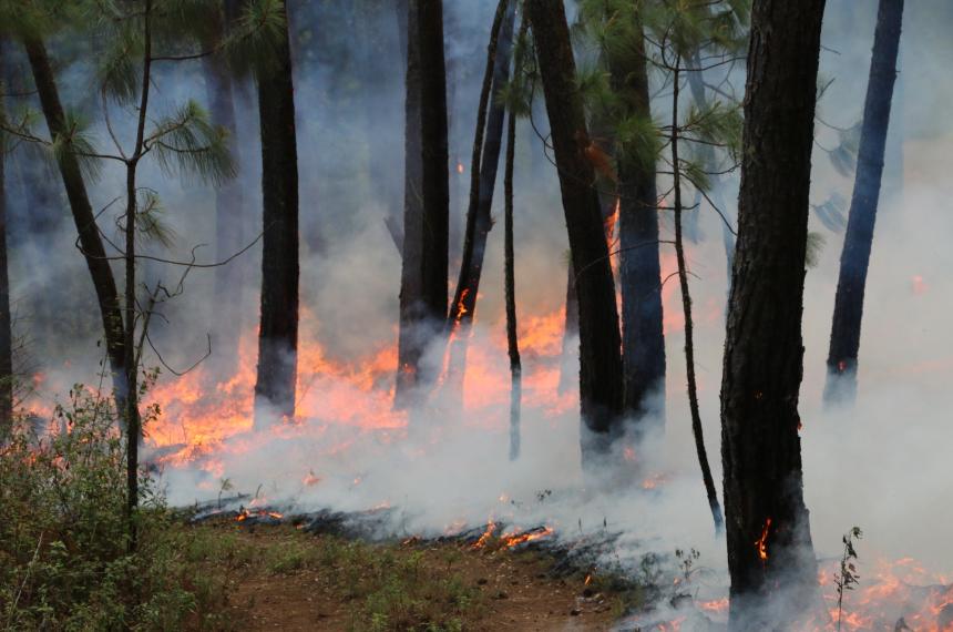 La decisión se tomó en base a las condiciones ambientales reinantes