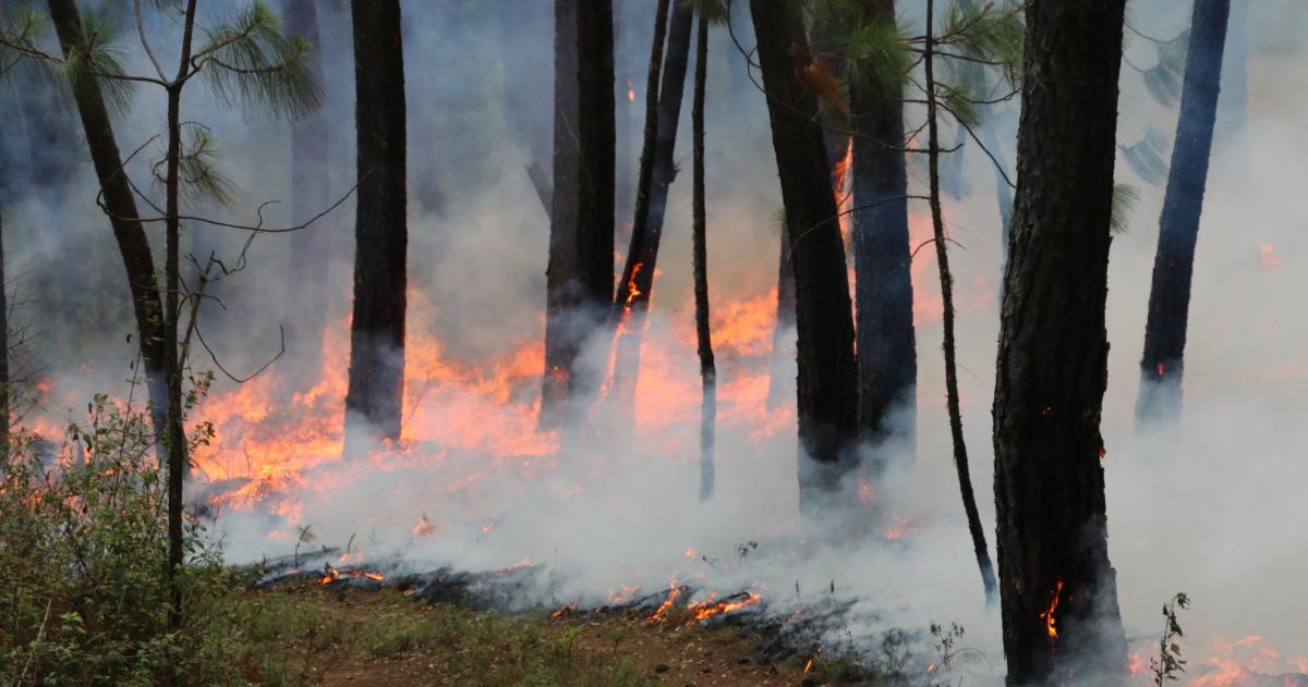La decisión se tomó en base a las condiciones ambientales reinantes