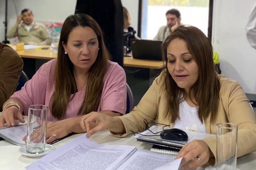 Romina Mota y Gisela Cuadrado son autoras del proyecto