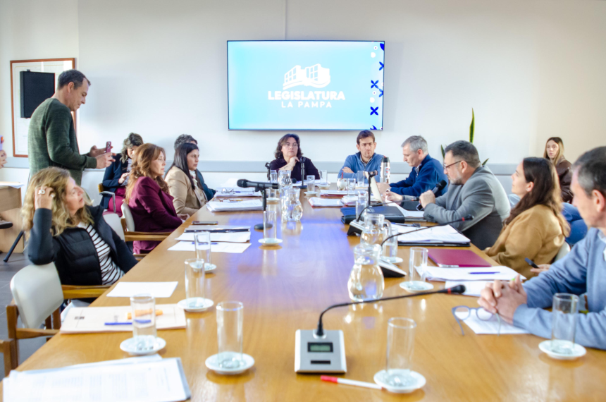 El encuentro de la Comisión de Legislación General a cargo de Liliana Robledo