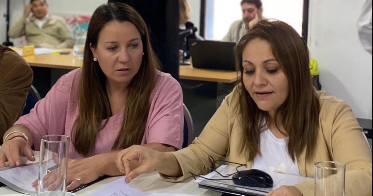 Romina Mota y Gisela Cuadrado son autoras del proyecto