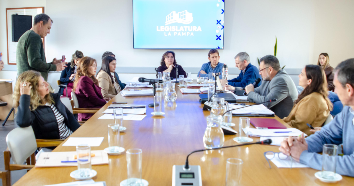 El encuentro de la Comisión de Legislación General a cargo de Liliana Robledo