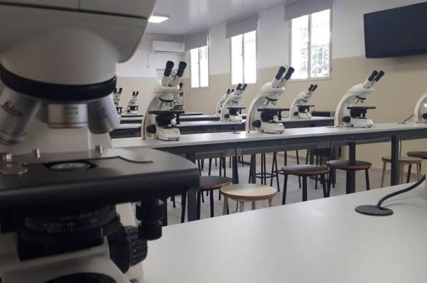Curso para docentes de Primaria sobre uso del microscopio en el aula