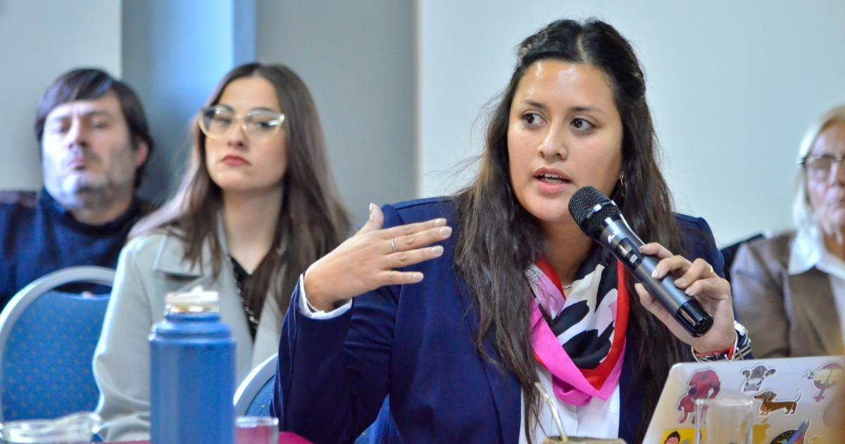 Diputada del PRO Noelia Viara