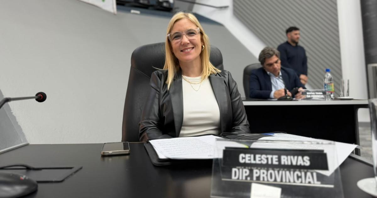 Diputada por el PRO Celeste Rivas