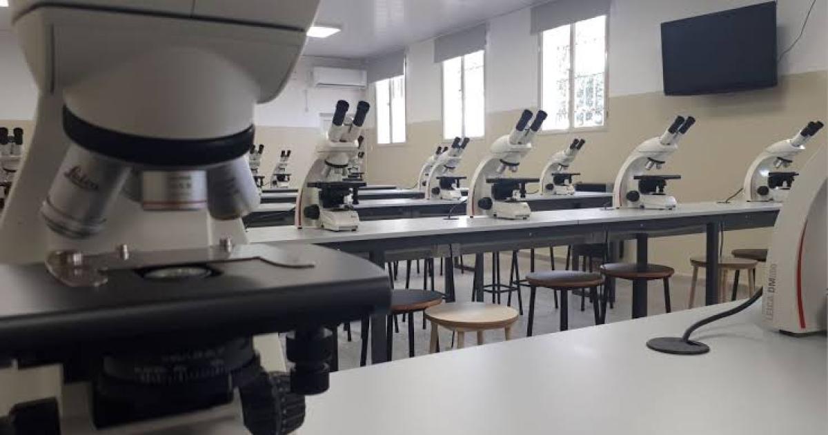 Curso para docentes de Primaria sobre uso del microscopio en el aula