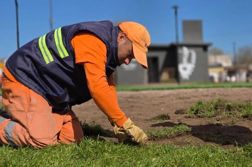 La plantación se realizó entre el Consejo de Arbolado Urbano y vecinos del lugar