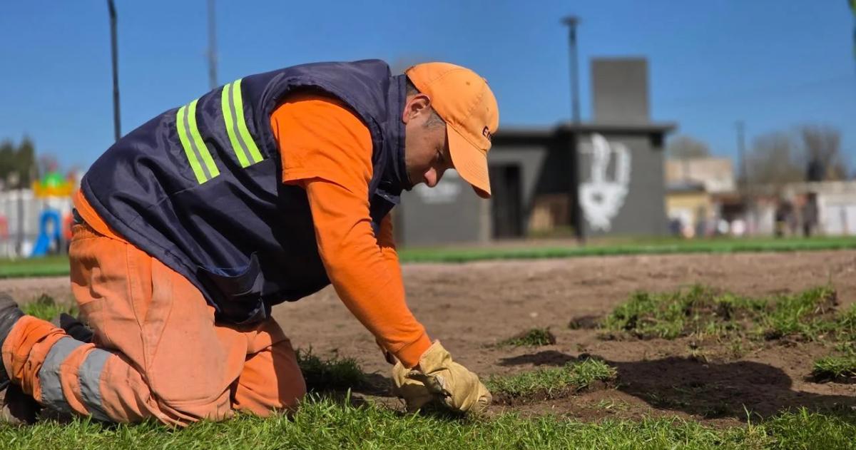 La plantación se realizó entre el Consejo de Arbolado Urbano y vecinos del lugar