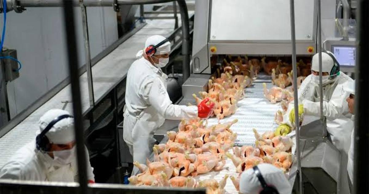 Crece la incertidumbre laboral en el sector en todo el país