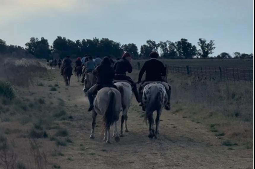Los animales habían participado de la Cabalgata de Falucho