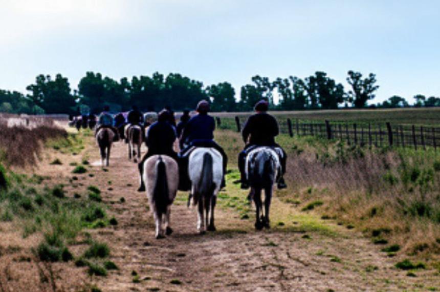 Los animales habían participado de la Cabalgata de Falucho