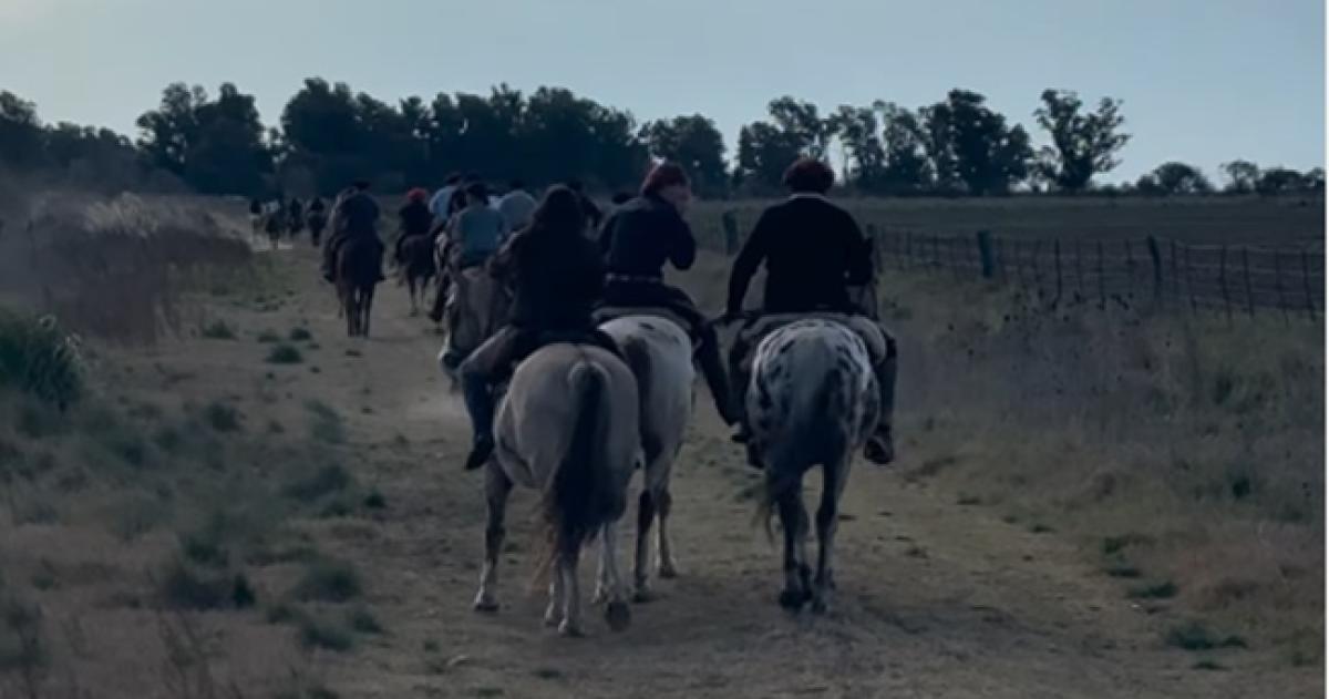 Los animales habían participado de la Cabalgata de Falucho