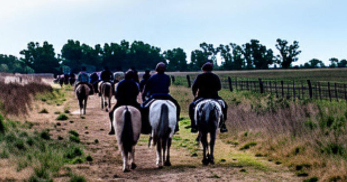 Los animales habían participado de la Cabalgata de Falucho