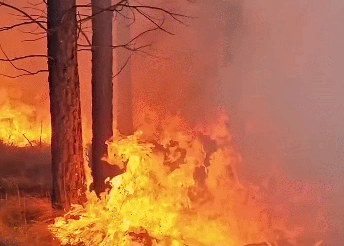 El viento complicó las tareas de combate contra el fuego