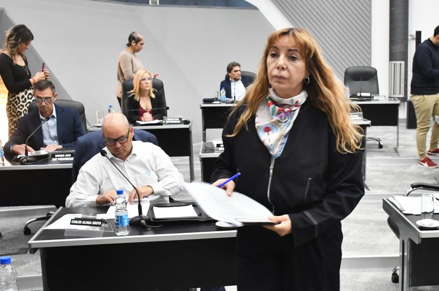 La presentación fue realizada por los diputados Sandra Fonseca y Maximiliano Aliaga